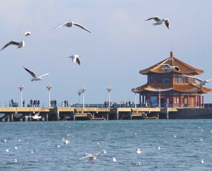 煙臺(tái)青島聯(lián)線;青島嶗山 市內(nèi)純玩兩日游hl